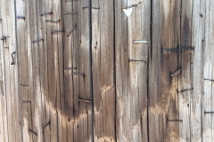 Phone Pole 2